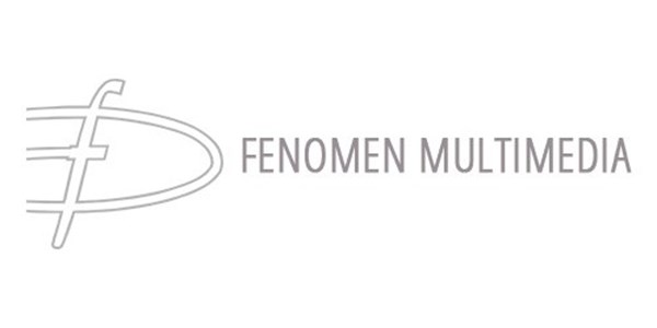 Fenomen multimedia